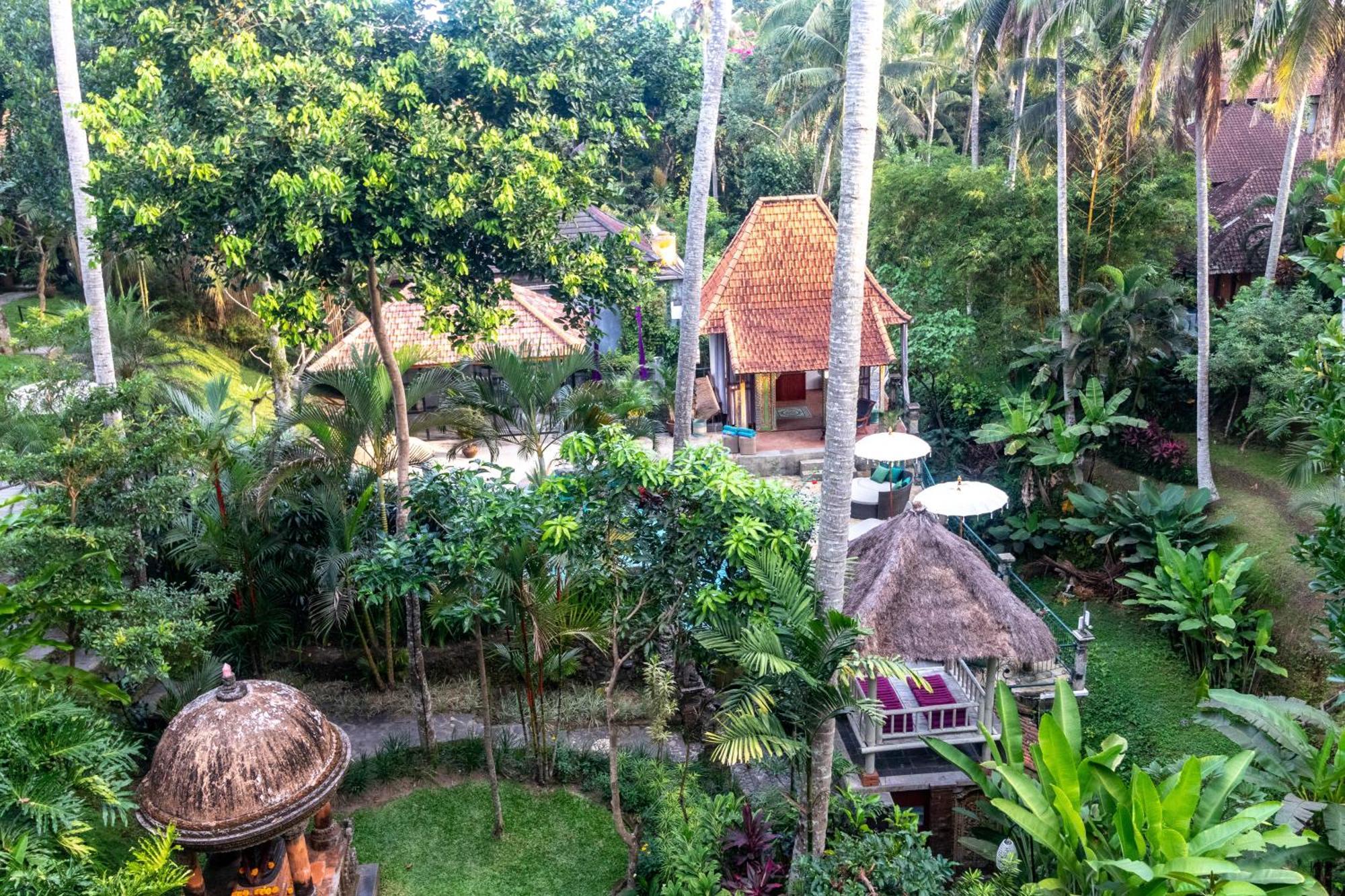 Narasoma Homestay & Retreat Ubud Extérieur photo